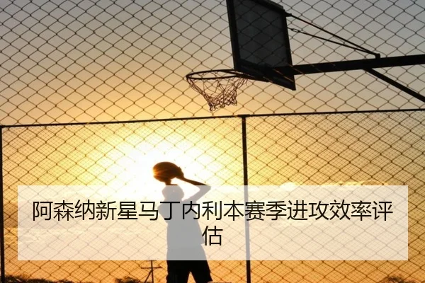 阿森纳新星马丁内利本赛季进攻效率评估